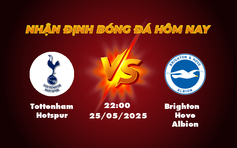 Tottenham Hotspur vs Brighton Hove Albion Cuộc chiến trái ngược và cơ hội bất ngờ 1 tottenham hotspur brighton hove albion 25 05 ngoai hang anh